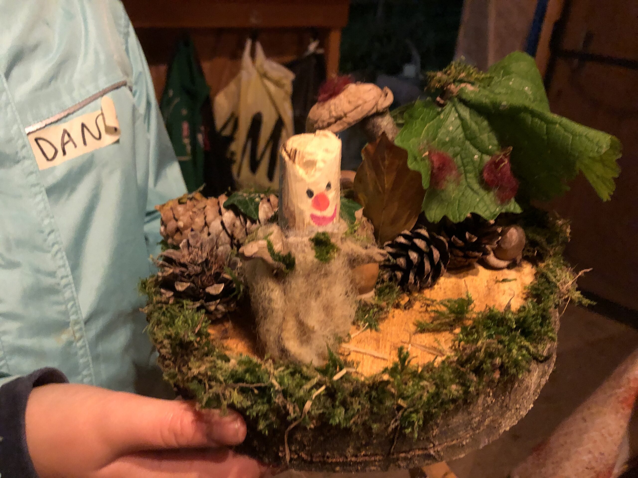 Waldwichtel-Impressionen