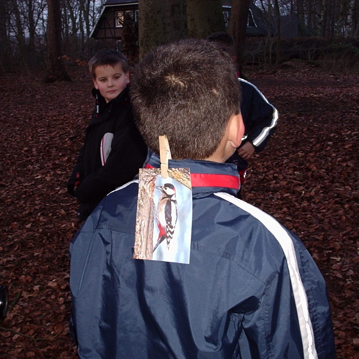 Spiel: Tiere raten – Wer bin ich?