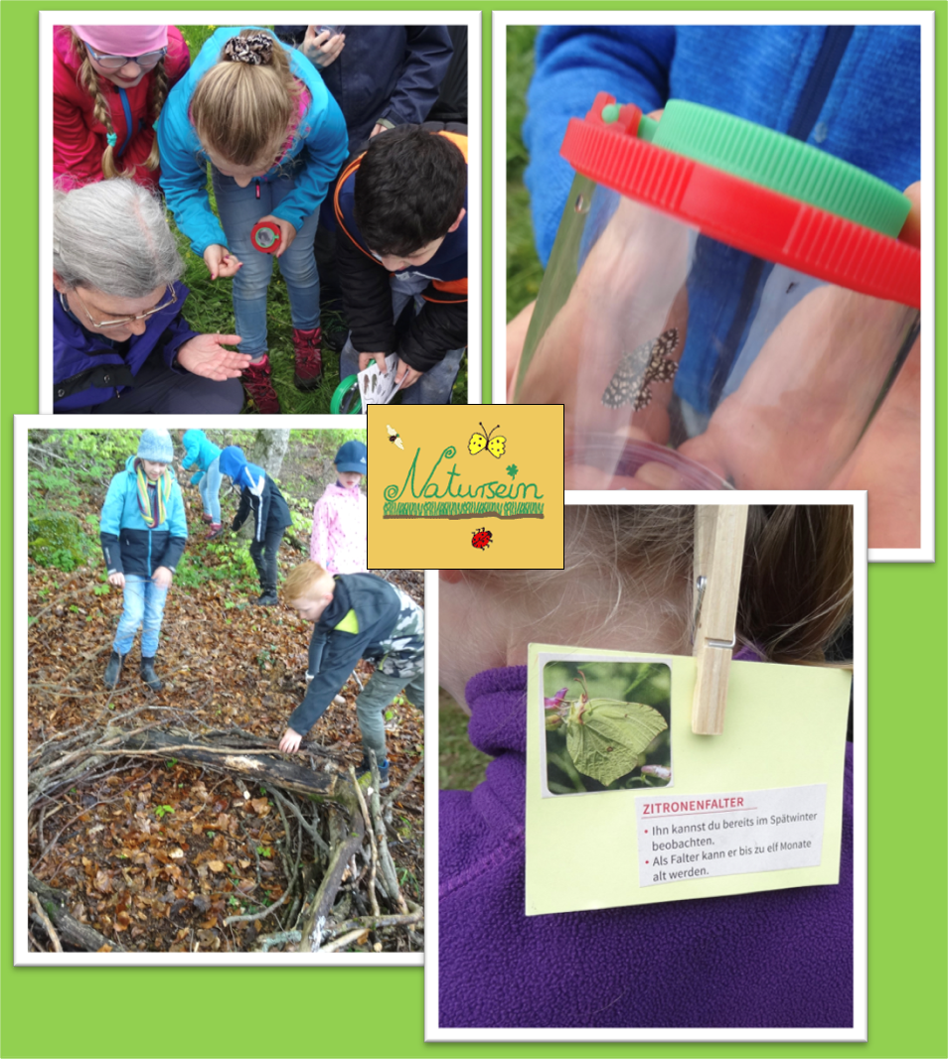 Naturfreundehäuser als außerschulische Lernorte (ASL)