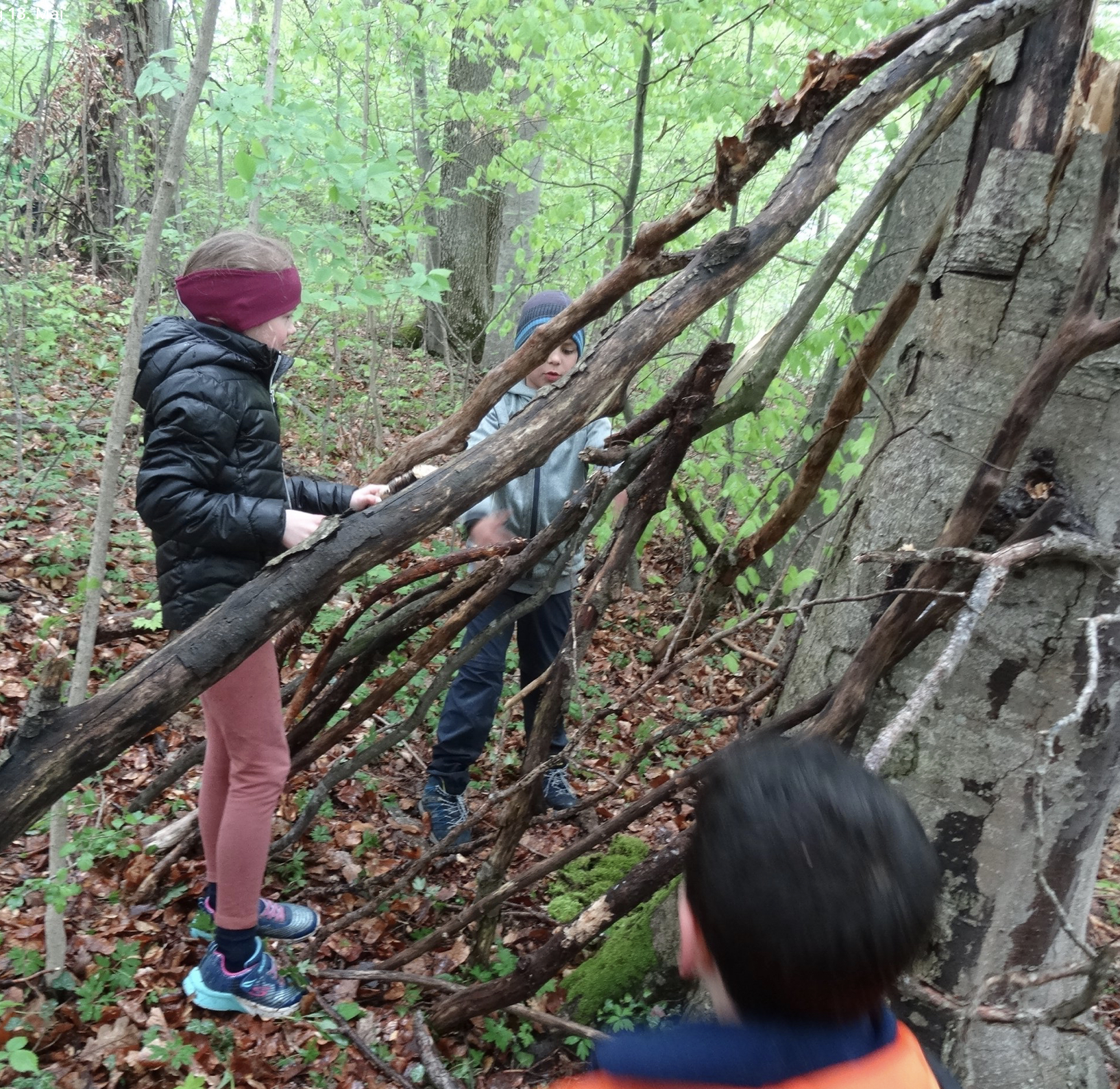 Hyperaktive Kinder? Naturpädagogik klar empfehlenswert!